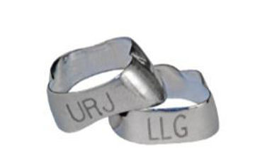 Immagine di Micro 1st Molar