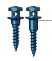 Picture of Through Hole Screw