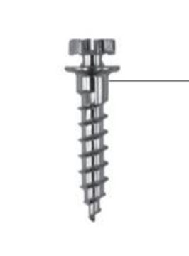 Picture of Bracket Head Screw