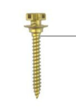 Picture of Bracket Head Screw